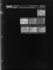 Editorial Pictures: Flowers (7 Negatives) March 31 - (April 2, 1965) [Sleeve 76, Folder c, Box 35]
